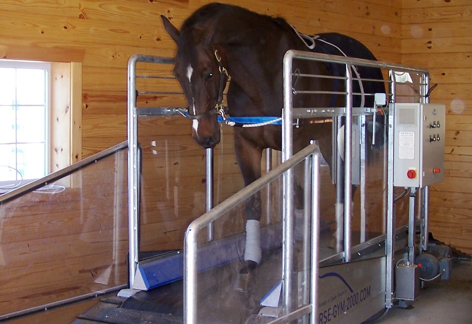 HorseGym Treadmill
